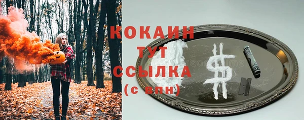 гидра Алзамай